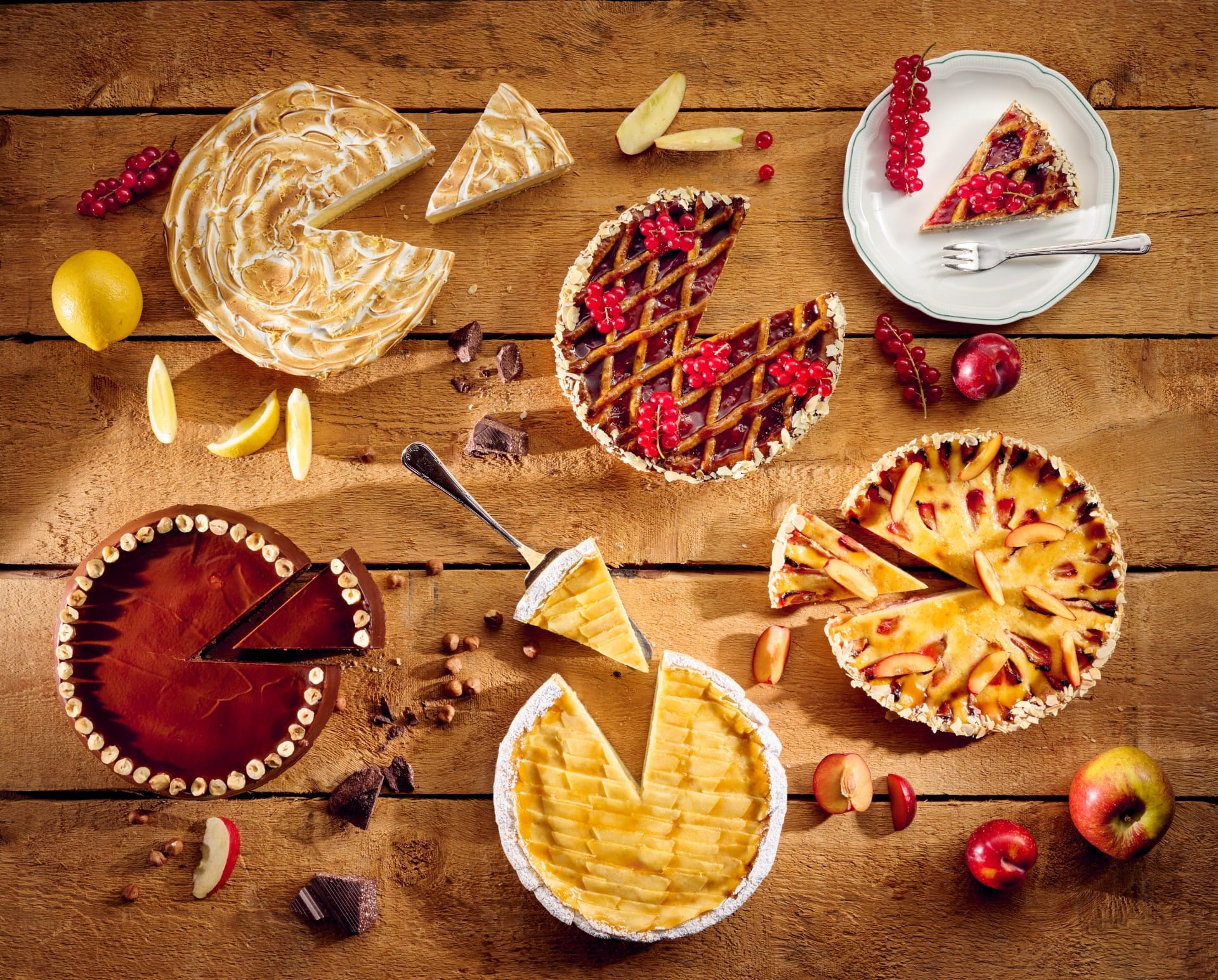 Hohenhaus-Tarte-Gruppe-23911_HighRes
